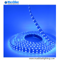 RGBW 4 couleurs One 5050 Flexible LED Strip Light